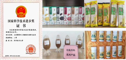 產(chǎn)學(xué)研融合 特色式攻關(guān)——齊齊哈爾大學(xué)破解“卡脖子”難題成功改觀谷物加工格局