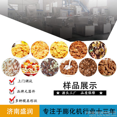 濟(jì)南盛潤(rùn)機(jī)械 水果燕麥谷物脆生產(chǎn)線 麥圈麥片加工設(shè)備早餐玉米片生產(chǎn)線